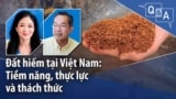 Đất hiếm tại Việt Nam: Tiềm năng, thực lực và thách thức